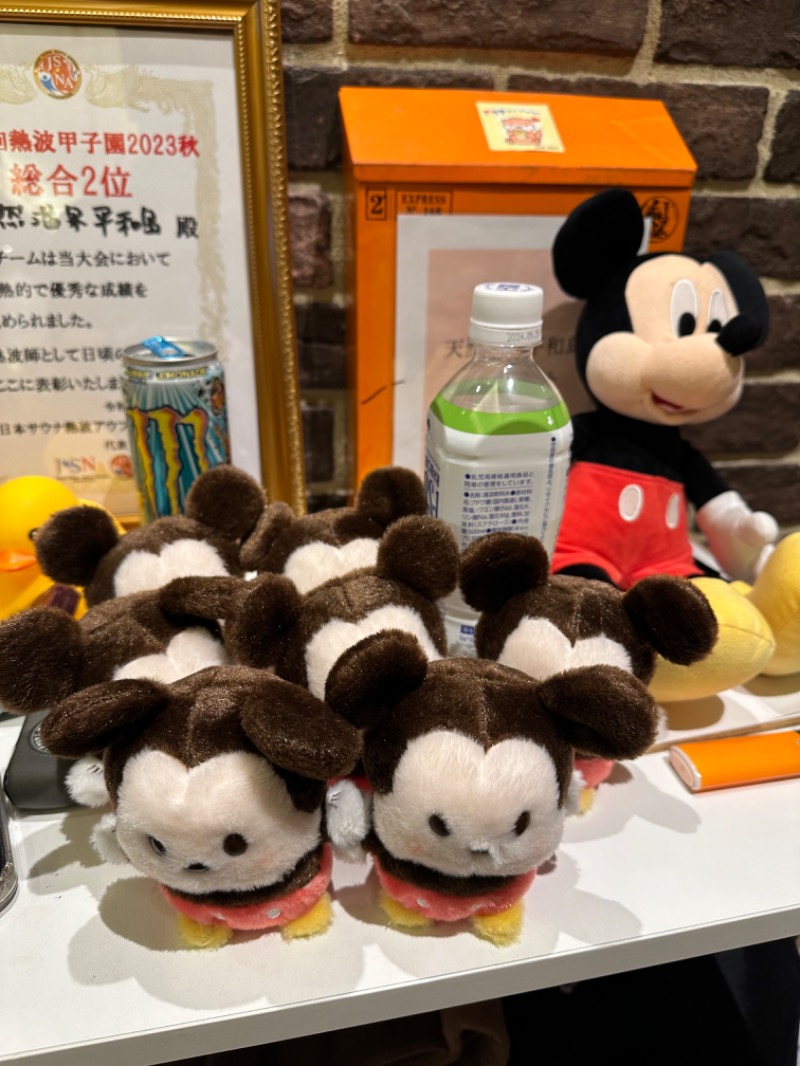 わいるどさんの天然温泉 平和島のサ活写真