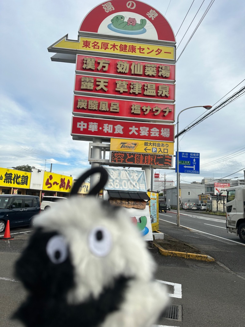 わいるどさんの湯乃泉 東名厚木健康センターのサ活写真