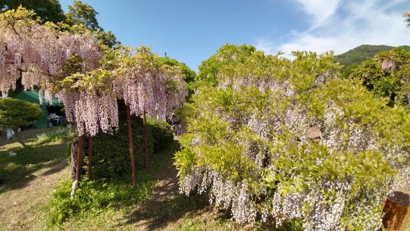 tori-sanさんのたしろ温泉ユップラのサ活写真