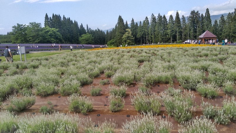 tori-sanさんの川口温泉 奥羽山荘のサ活写真