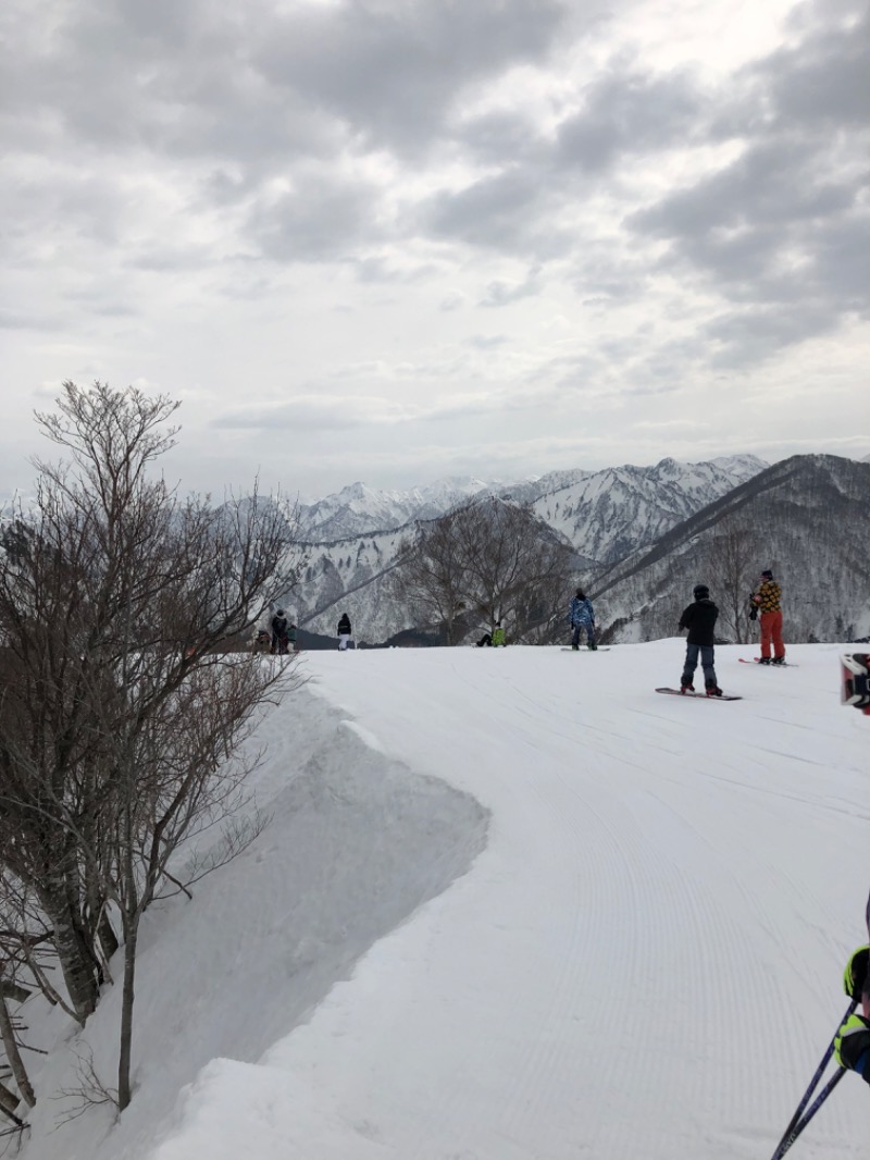 ぽーん？さんの神の湯のサ活写真