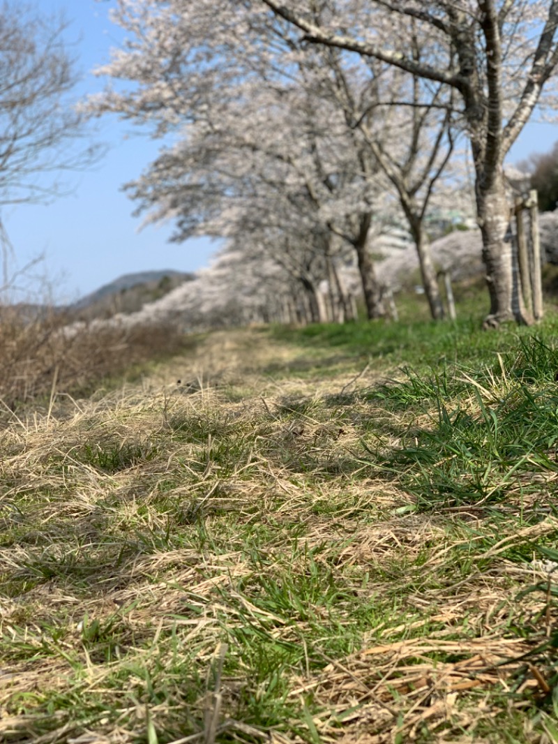 yonezo~さんの宝乃湯のサ活写真