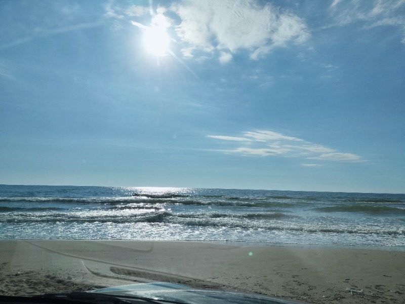 ぽんさんのひょっこり温泉 島の湯のサ活写真