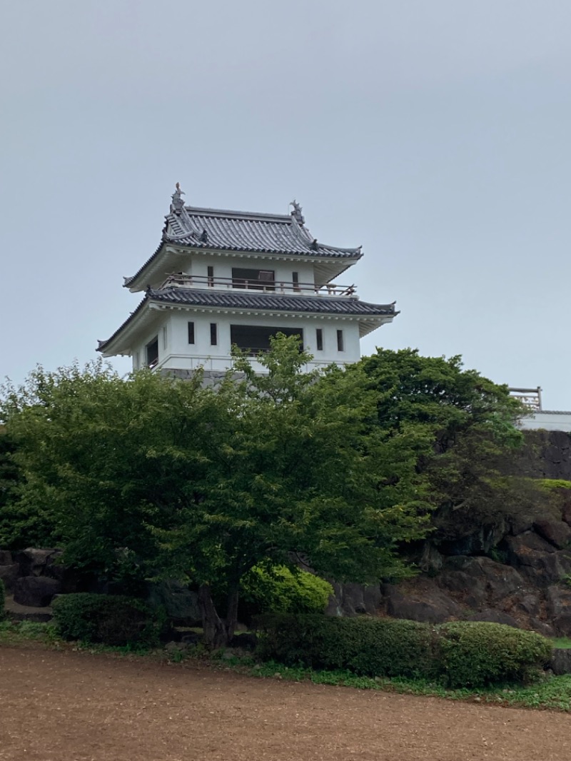 りんちゃんさんの有明海の湯(蟹御殿)のサ活写真