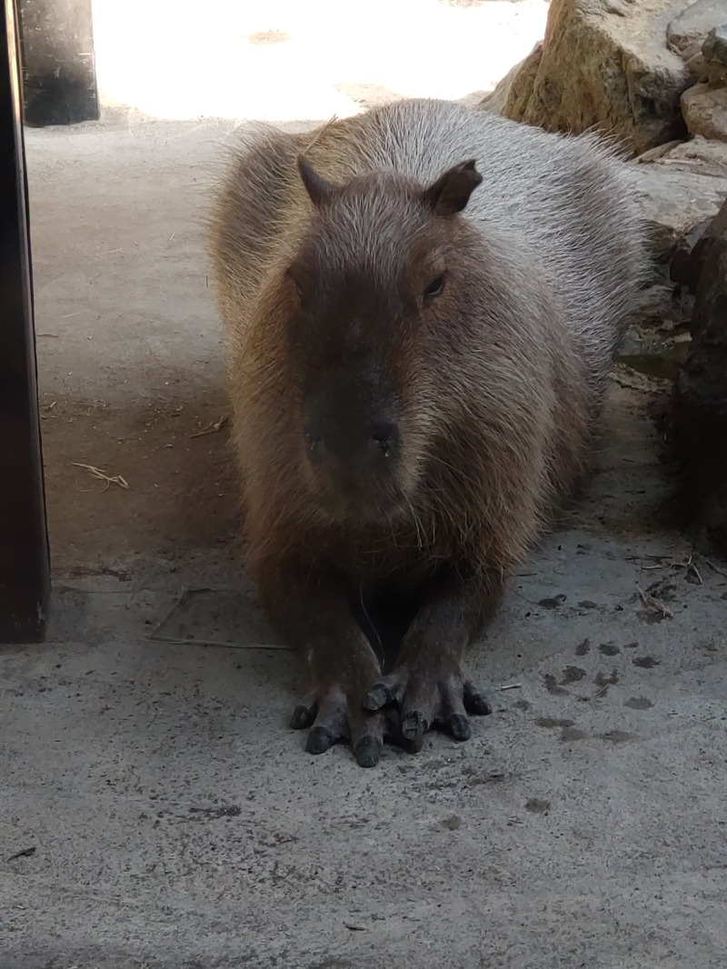 さしすさんの石狩天然温泉 番屋の湯のサ活写真