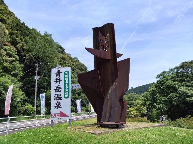 さうにゃんさんの青井岳温泉(青井岳荘)のサ活写真