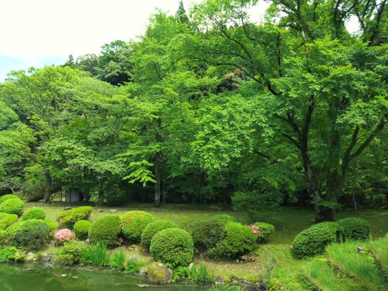 さうにゃんさんの青井岳温泉(青井岳荘)のサ活写真