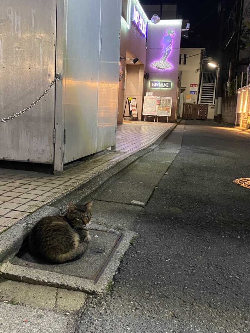 ピチさんのルビーパレスのサ活写真