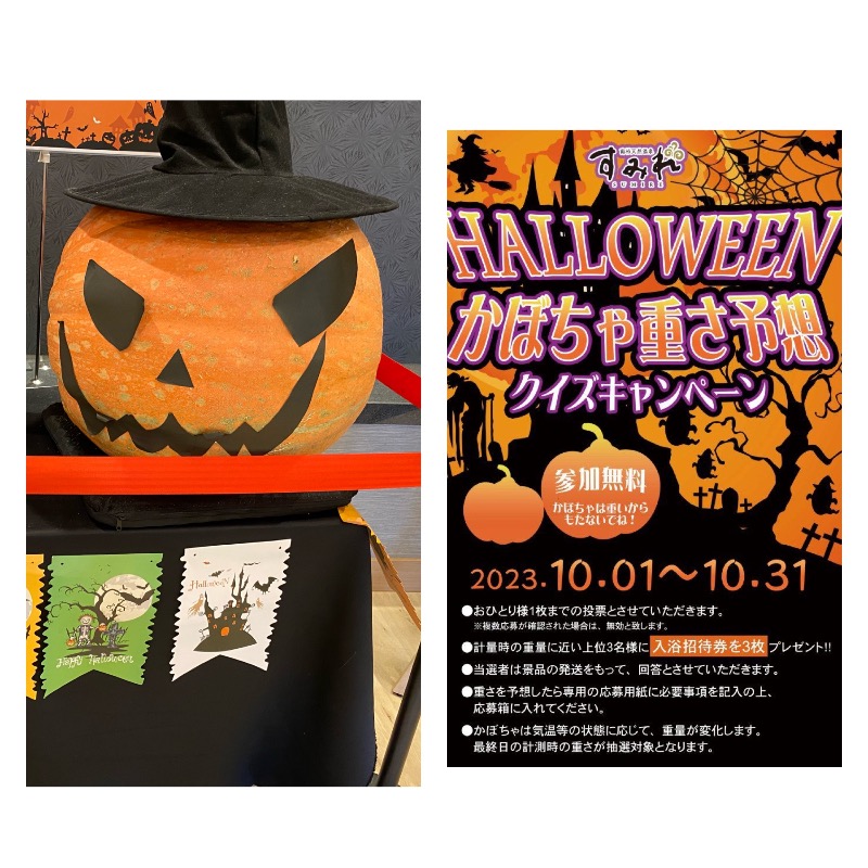 せいちゃんさんの南柏天然温泉すみれのサ活写真