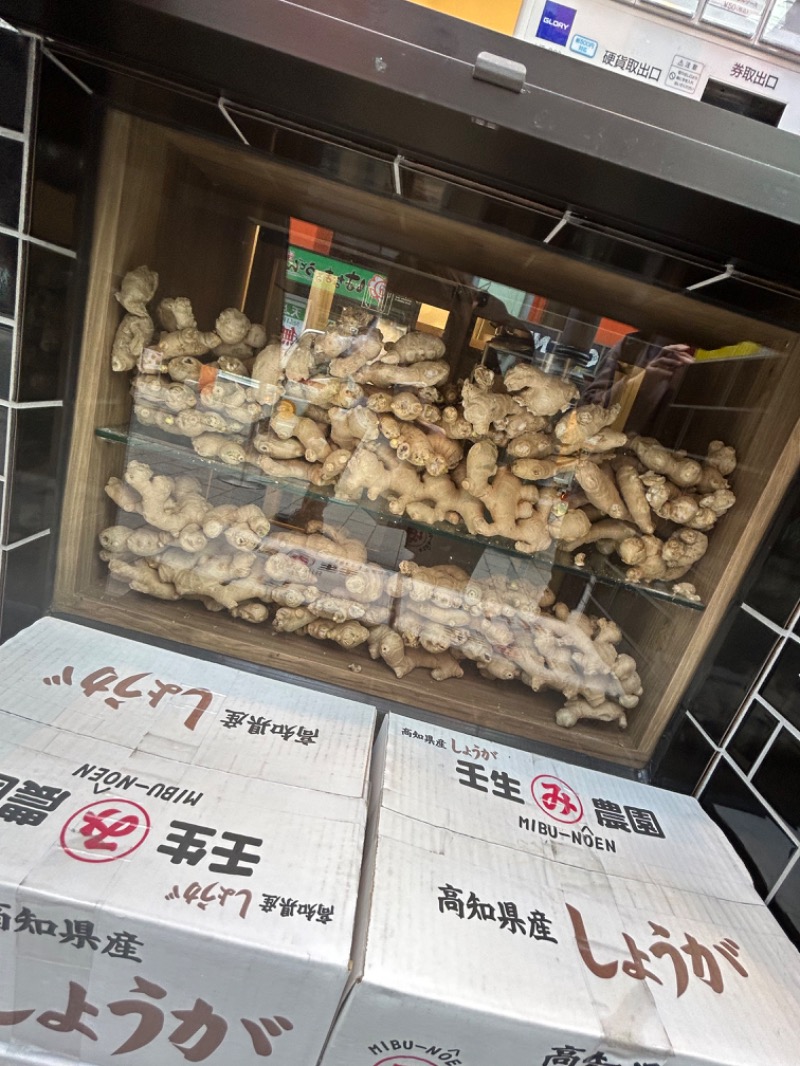 せいちゃんさんの生姜サウナ 金の亀のサ活写真