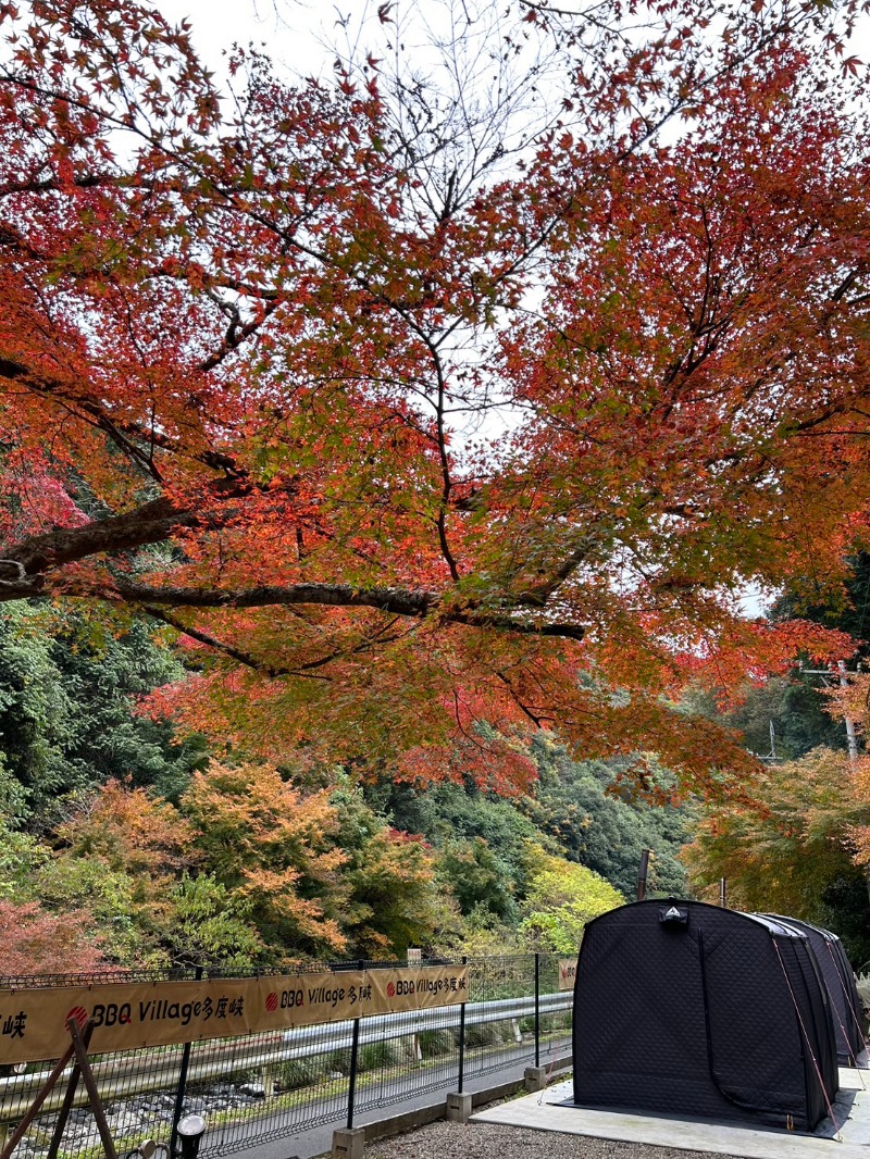 ノブナリさんのBBQvillage多度峡のサ活写真