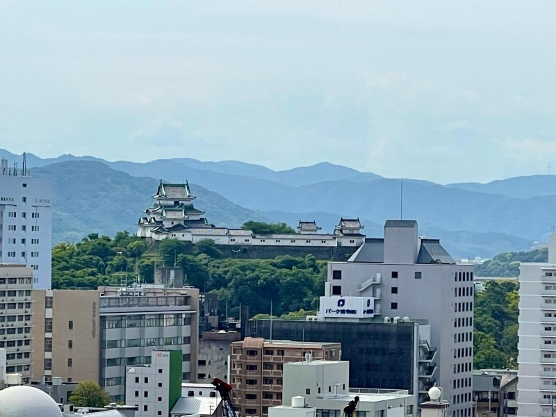 なむさんのカンデオホテルズ南海和歌山のサ活写真