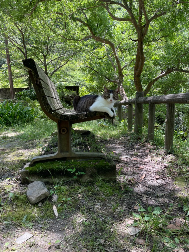 りょうさんの箕輪の里温泉のサ活写真