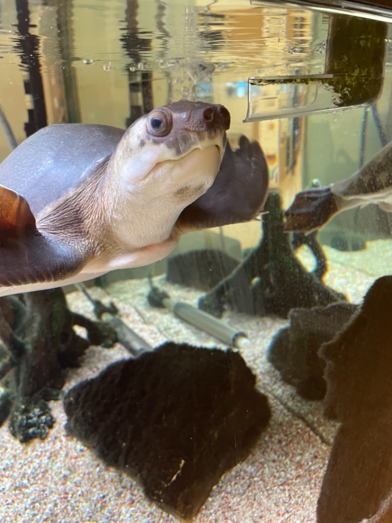 お湯〜ろさんの松本湯のサ活写真