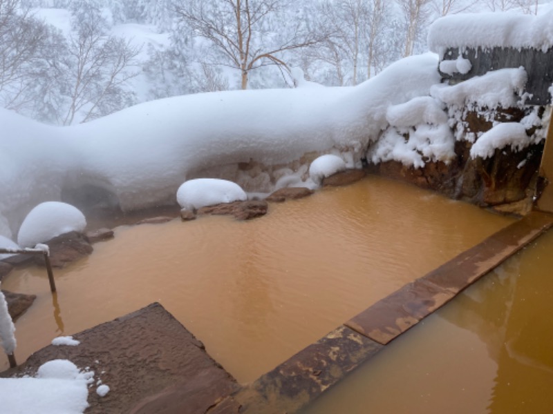 ゆうやさんの十勝岳温泉 凌雲閣のサ活写真