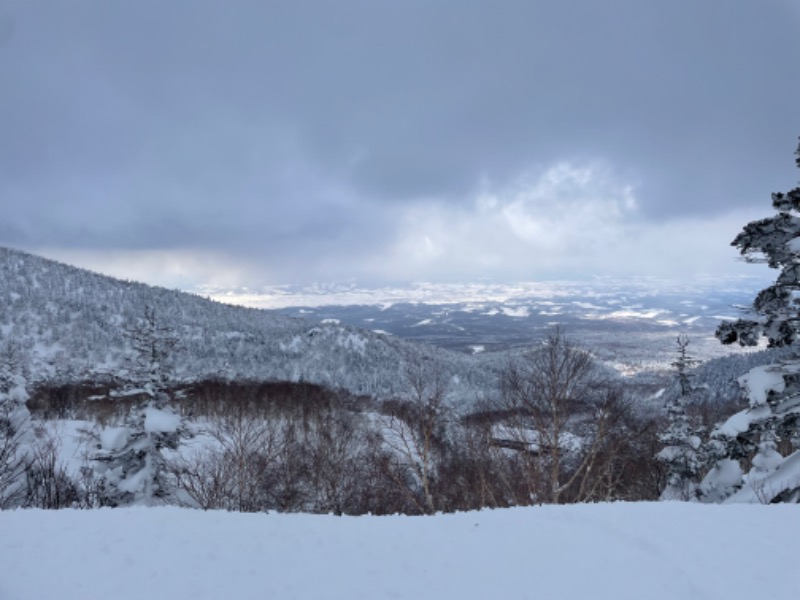 ゆうやさんの十勝岳温泉 凌雲閣のサ活写真