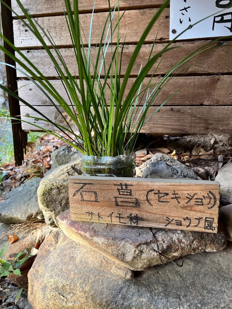 ♨️ふじふじ♨️さんの東大寺別院阿弥陀寺 石風呂のサ活写真