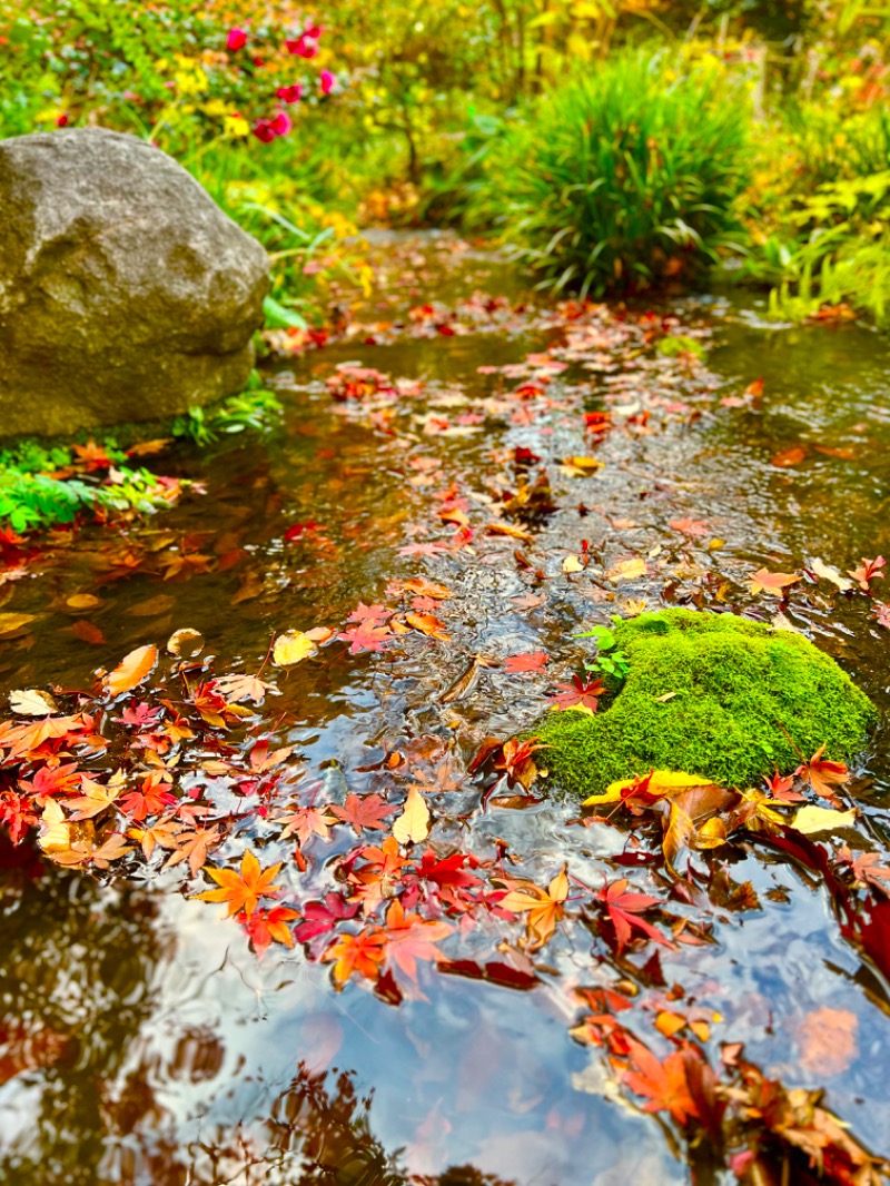 igaoさんの豊島園 庭の湯のサ活写真