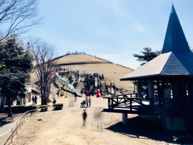 まつしょうさんの天然温泉 湯舞音 龍ケ崎店のサ活写真