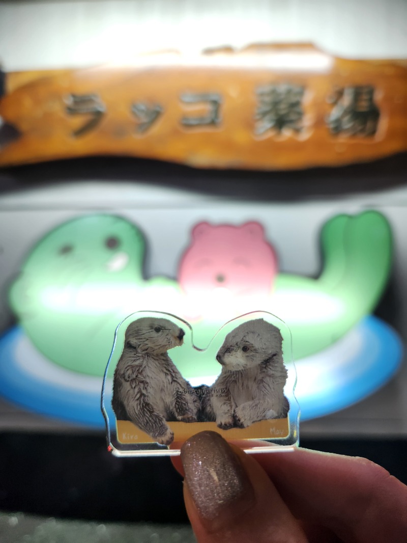 スハダクラブさんの湯乃泉 東名厚木健康センターのサ活写真