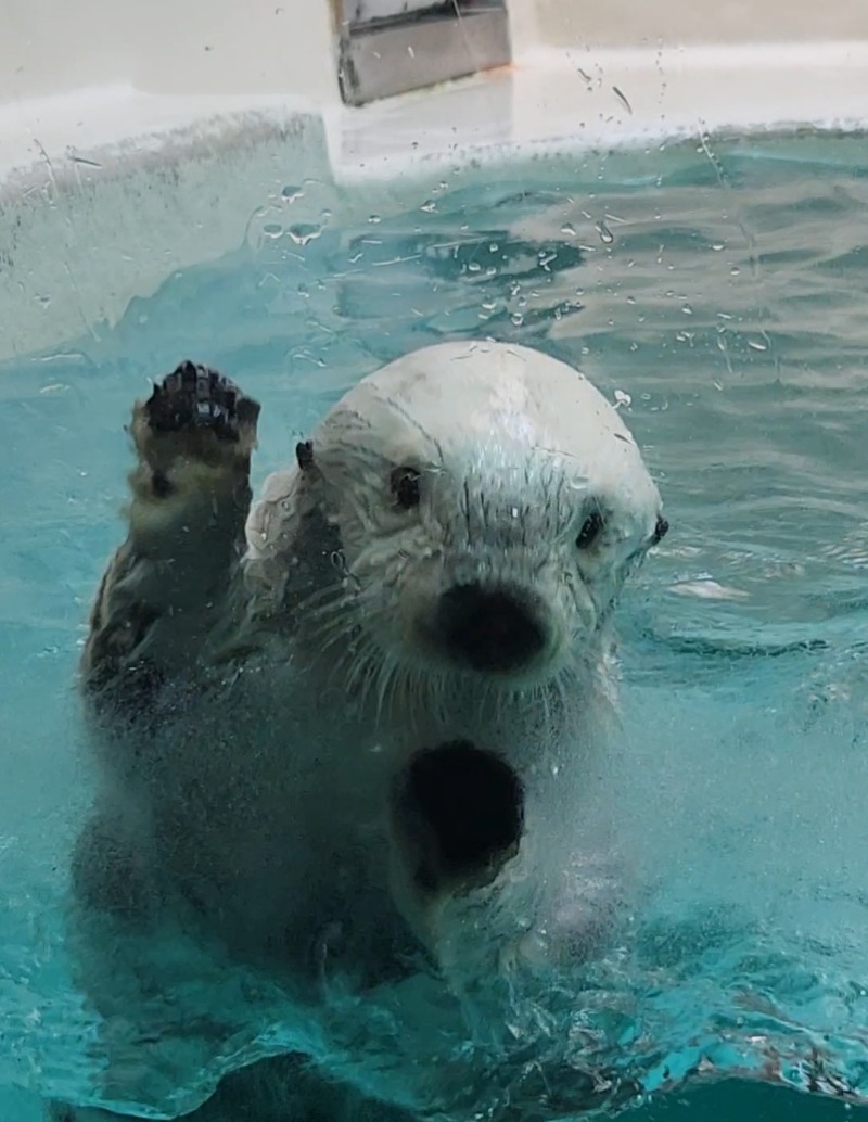 スハダクラブさんの汐湯 おかげ風呂舘 旭湯のサ活写真