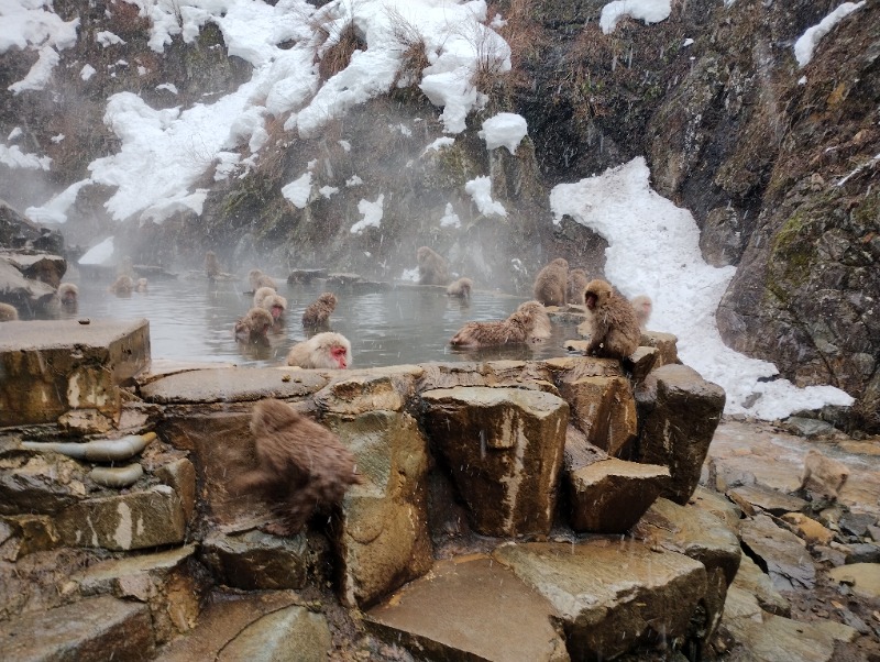 たつ兄さんの九番湯 渋大湯のサ活写真