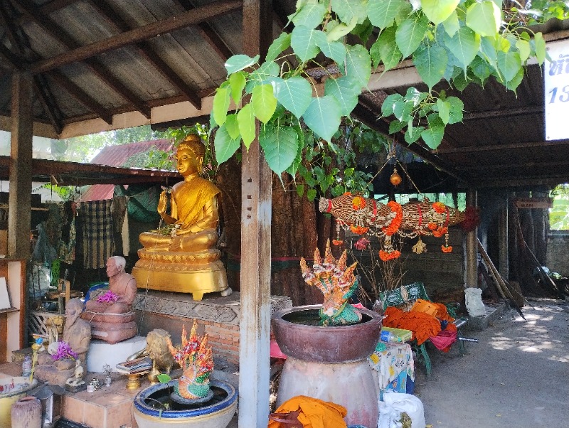 たつ兄さんのワット カチョンシリ(Wat Khachonsiri)のサ活写真