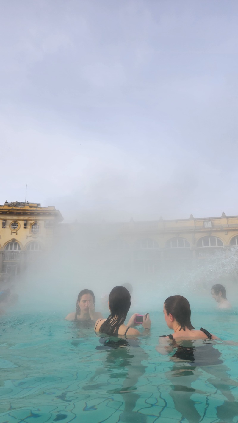 おでんさんのセーチェーニ温泉のサ活写真