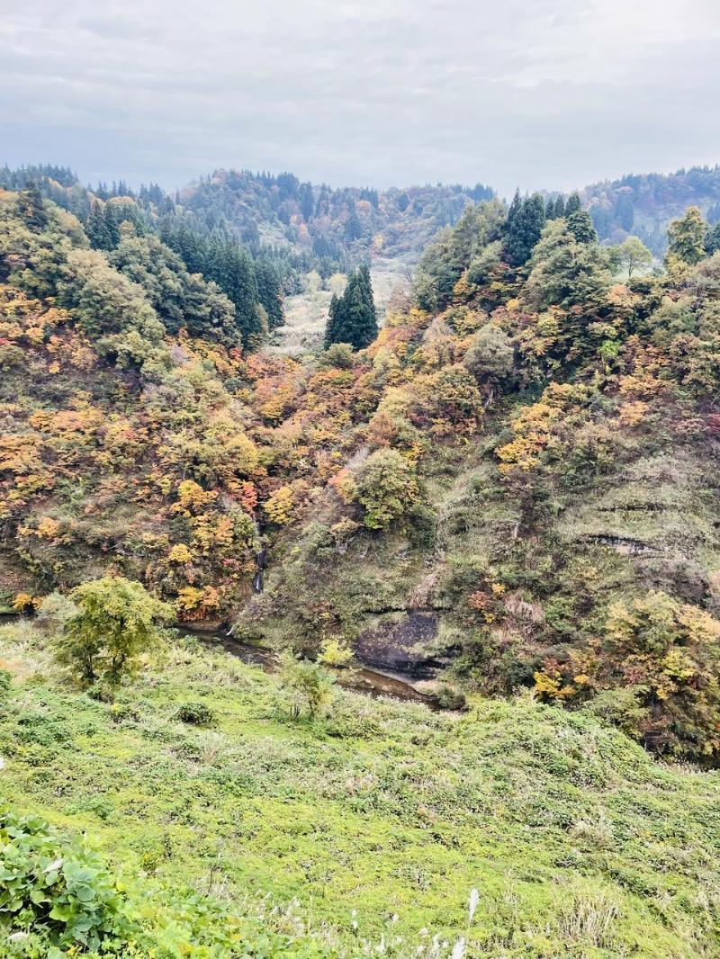 ばこちさんのナステビュウ湯の山のサ活写真