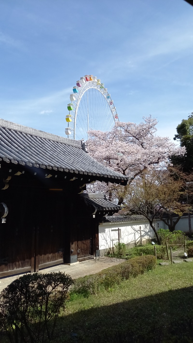 イサオヤジさんのよみうりランド 丘の湯のサ活写真