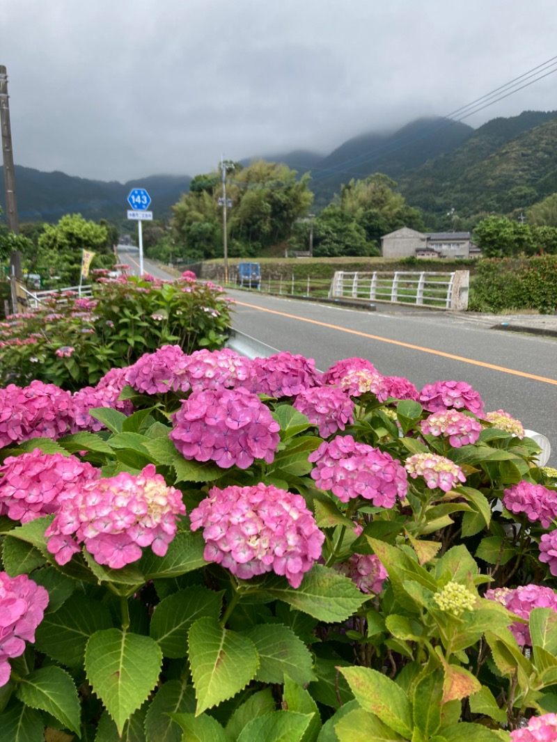 でこぽんさんのまむしの湯のサ活写真