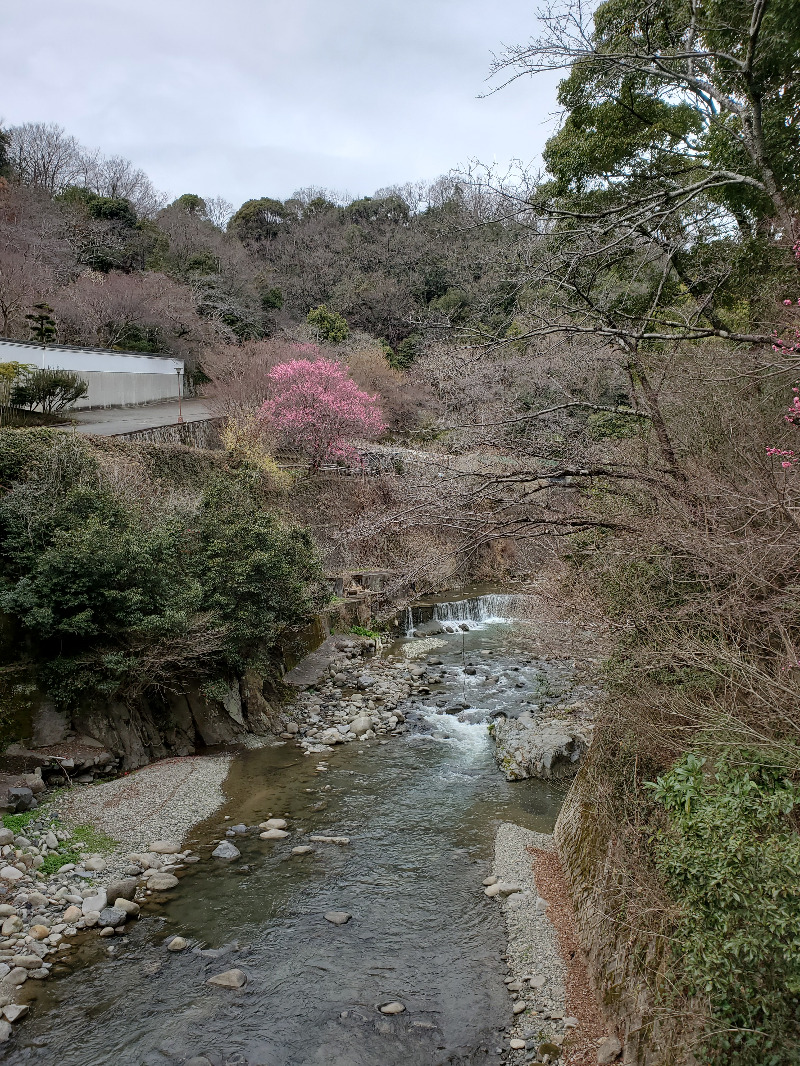 akiさんの伏尾温泉 不死王閣のサ活写真