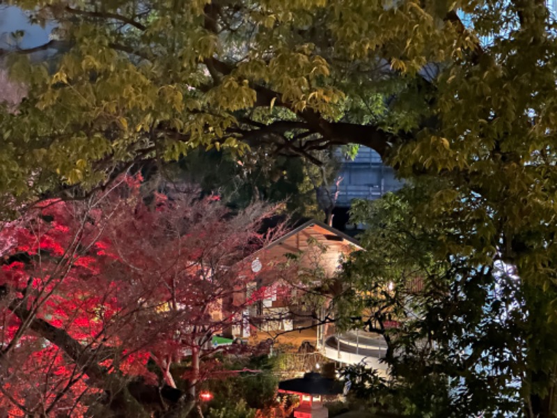 らぶりさんの豊島園 庭の湯のサ活写真