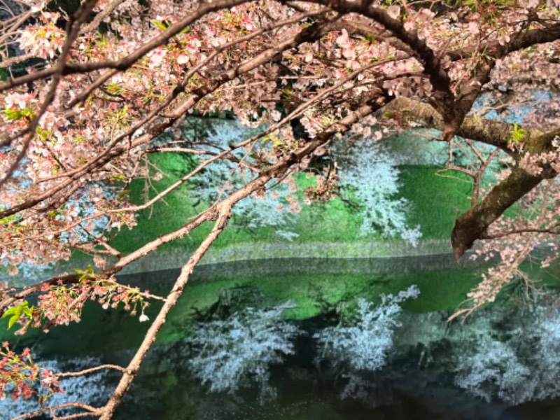 らぶりさんの豊島園 庭の湯のサ活写真