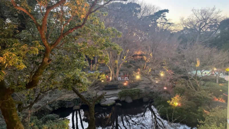 らぶりさんの豊島園 庭の湯のサ活写真