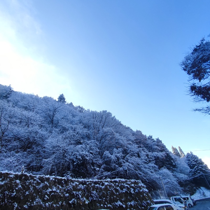 ベアクローさんの飛騨高山 自家源泉の湯 臥龍の郷のサ活写真