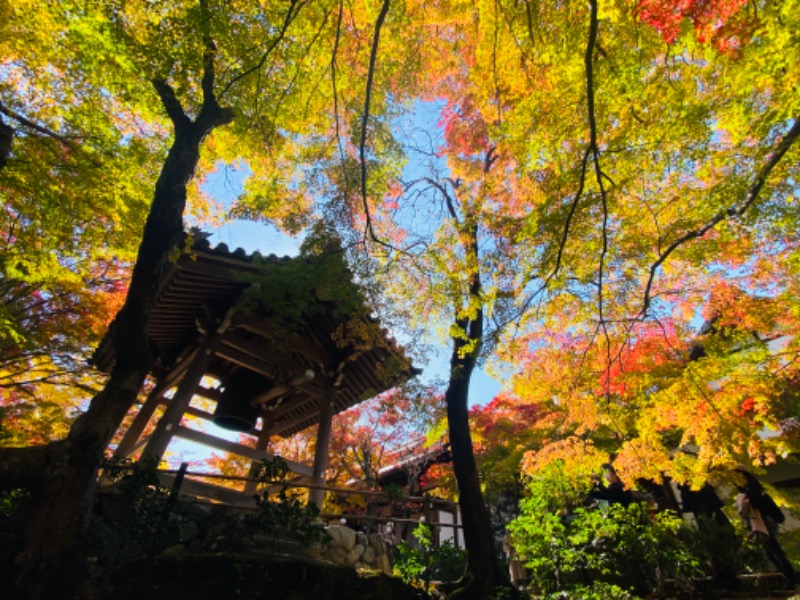 やまピー監督さんのさがの温泉 天山の湯のサ活写真