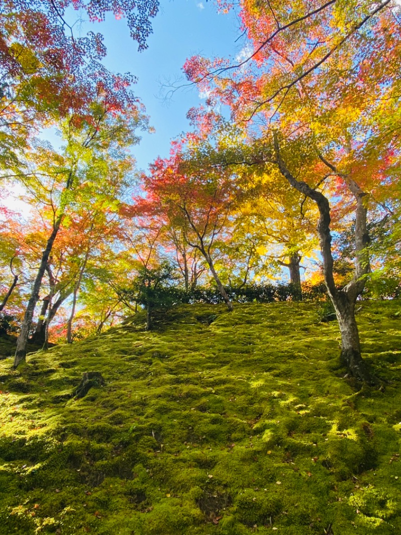 やまピー監督さんのさがの温泉 天山の湯のサ活写真