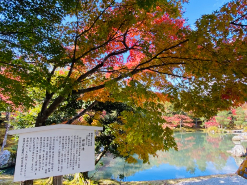 やまピー監督さんの風風の湯のサ活写真