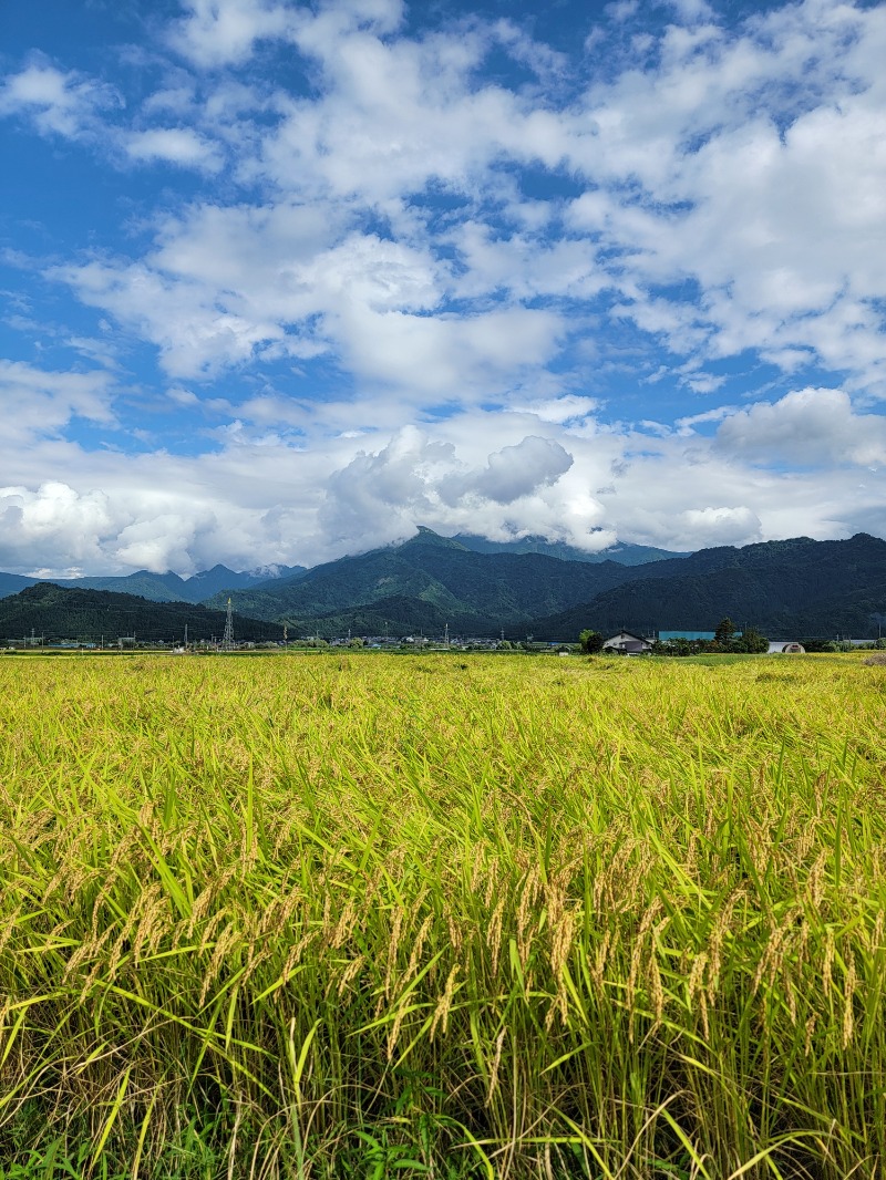 みけねこライダーさんの沼田健康ランドのサ活写真