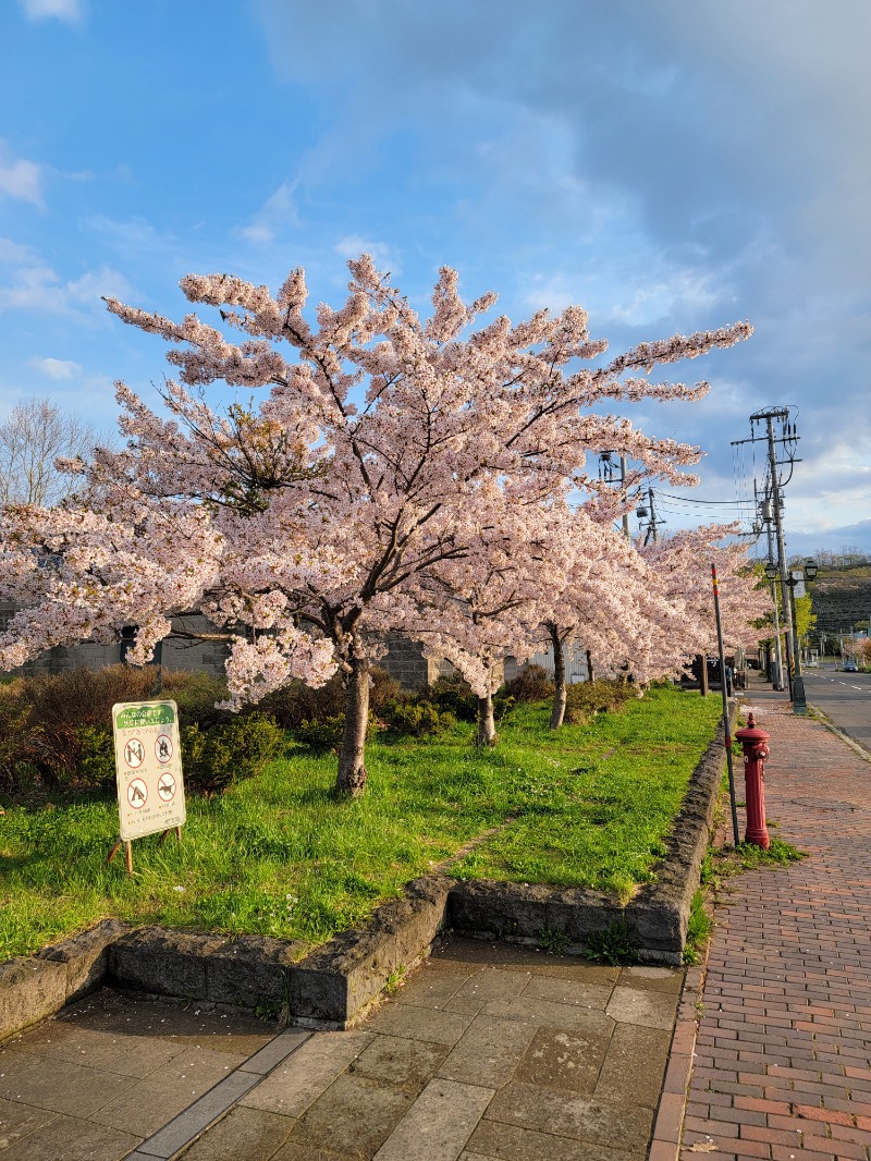 みけねこライダーさんの小樽グリーンホテル 本館 ( THE GREEN OTARU )のサ活写真