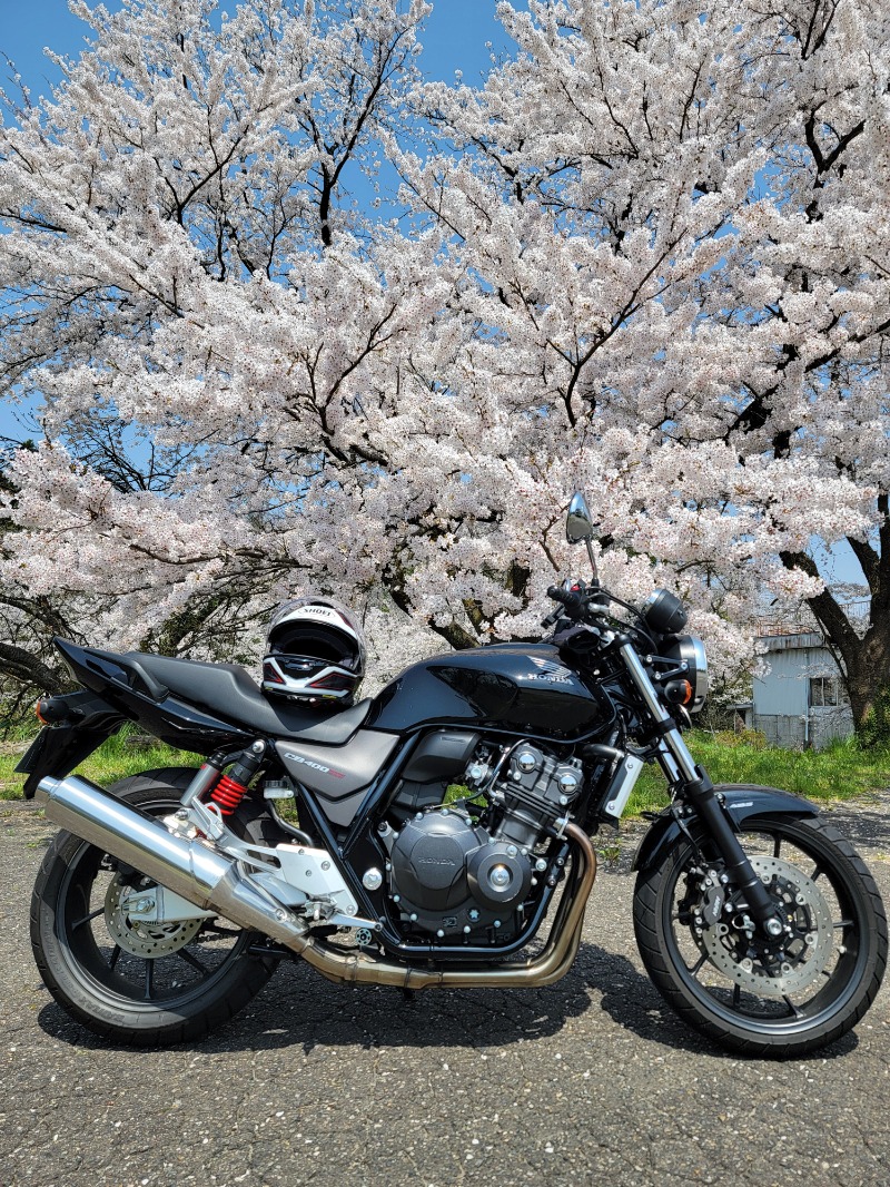 みけねこライダーさんの極楽湯 松崎店のサ活写真