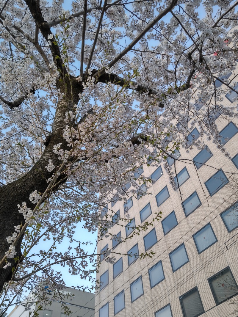 ぎっちょさんのLC五稜郭ホテルのサ活写真