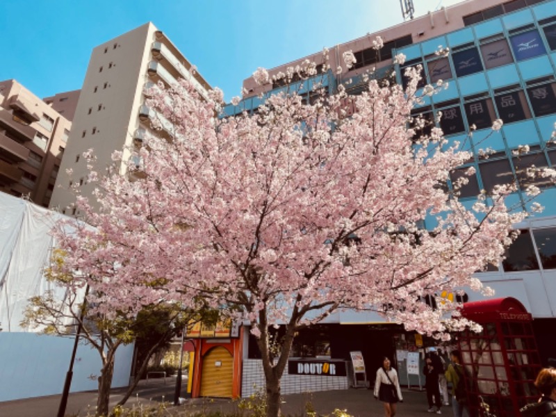 おじゅんさんの豊島園 庭の湯のサ活写真