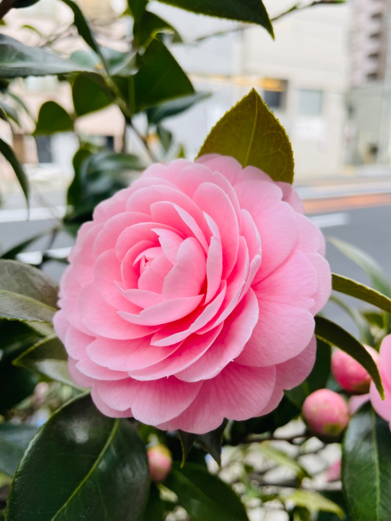 おじゅんさんの堤柳泉(ていりゅうせん)のサ活写真