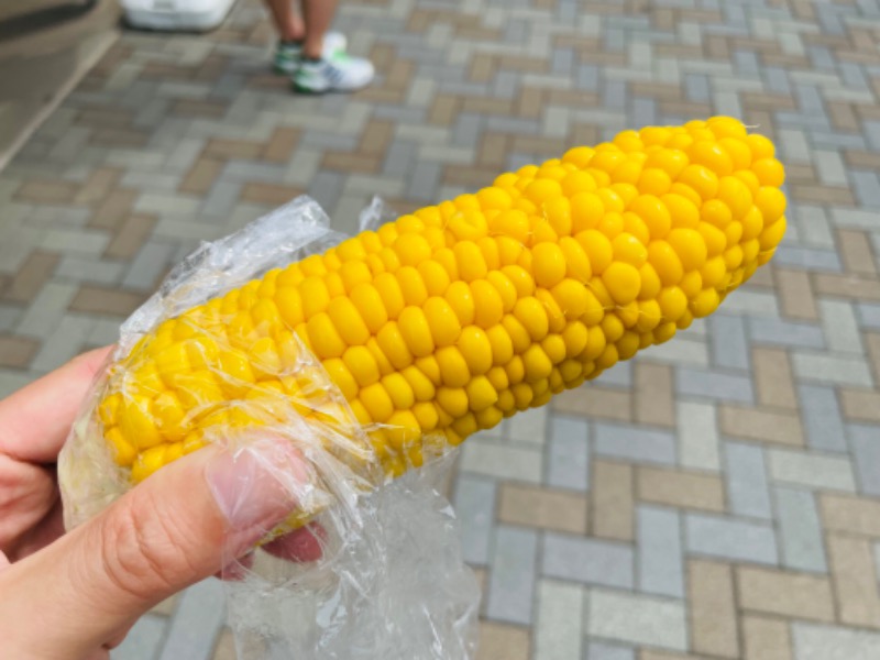 おじゅんさんの山梨泊まれる温泉 より道の湯のサ活写真