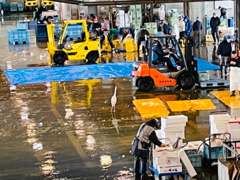 おじゅんさんの氷見温泉郷 総湯のサ活写真