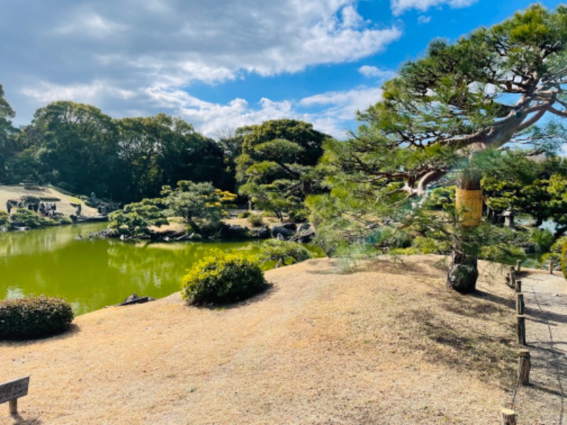 おじゅんさんの深川温泉 常盤湯のサ活写真