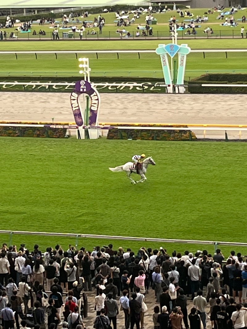 清水金春🟡さんの鳩の湯のサ活写真