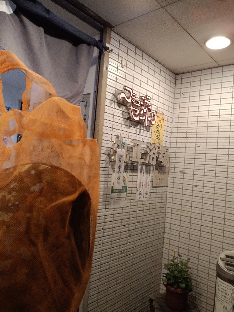 Mononeさんの丸正浴場のサ活写真